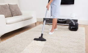 Five Hours of House Cleaning ($145 Value)